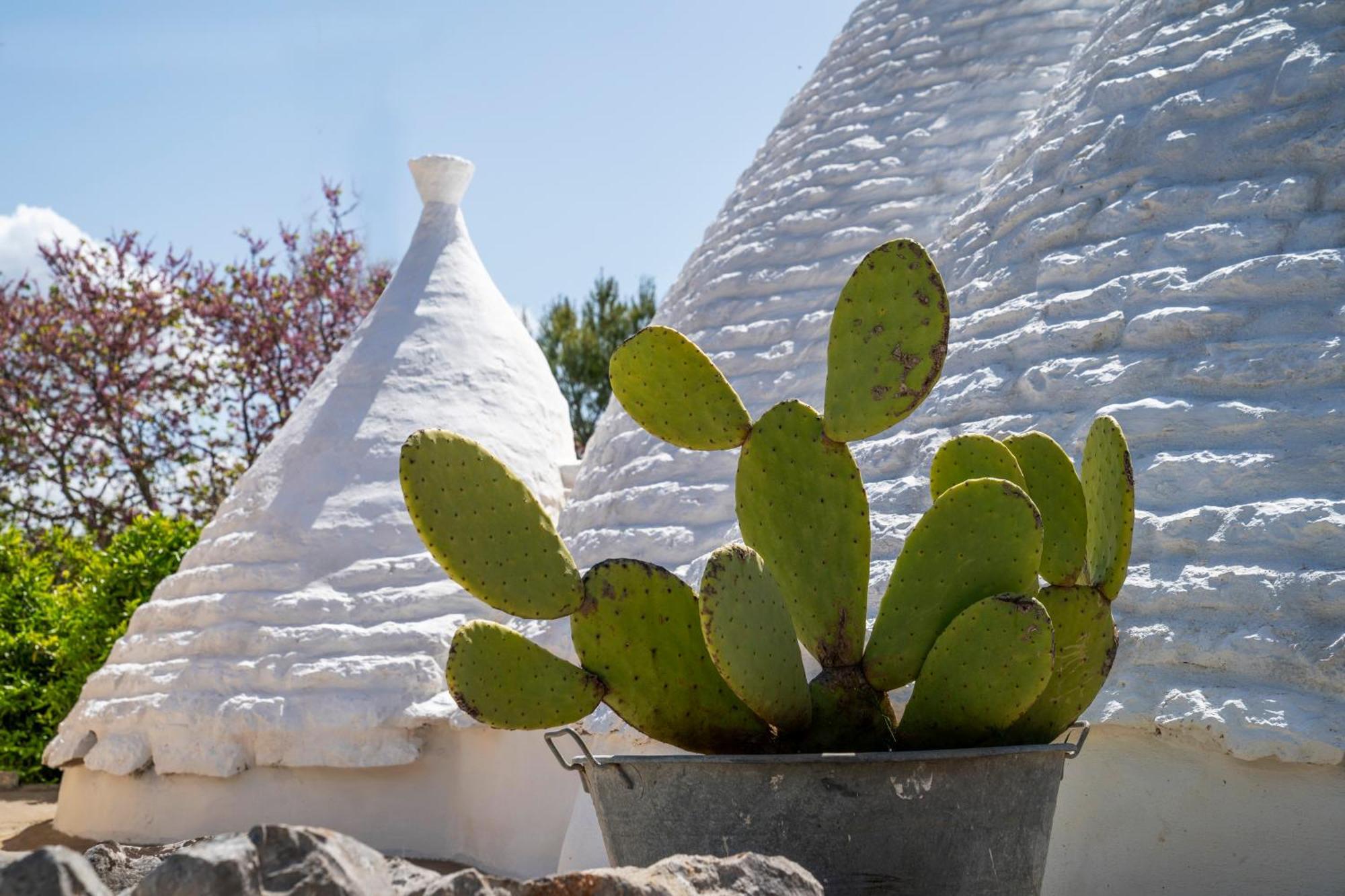 Villa De Luxe Avec Piscine - Trullo Ulivi Al Sole Francavilla Fontana Esterno foto