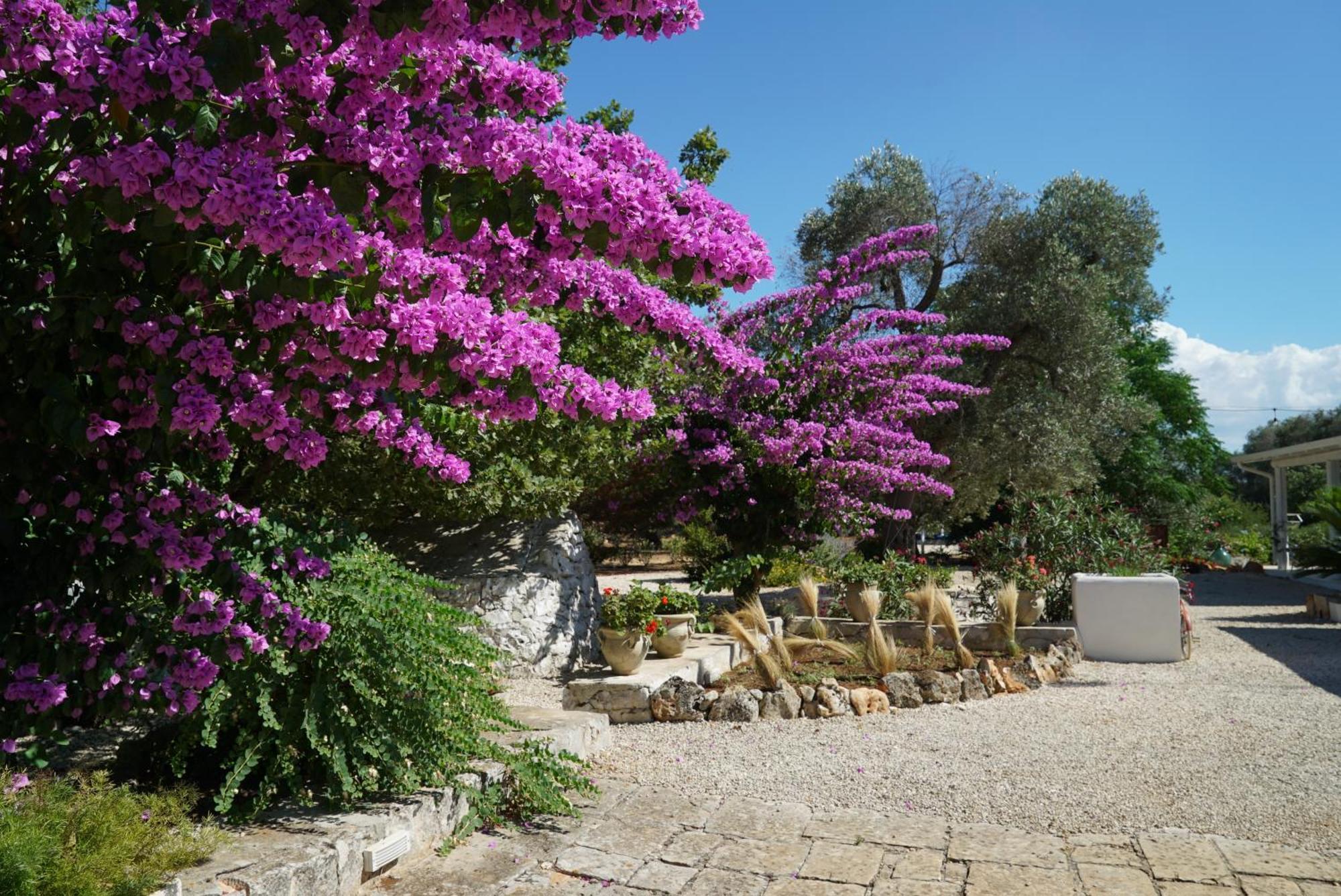 Villa De Luxe Avec Piscine - Trullo Ulivi Al Sole Francavilla Fontana Esterno foto